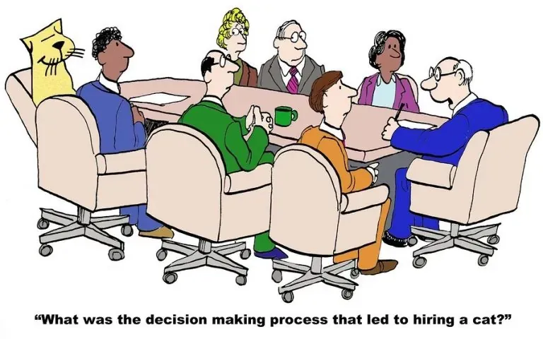 Cartoon boardroom questioning the decision process that led to hiring a cat