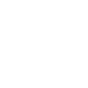 Illustration of the action-planning step in a GroupMap session