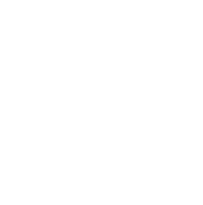 Illustration of the rating and prioritizing step in a GroupMap session