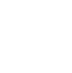 Illustration of the results and reporting step in a GroupMap session