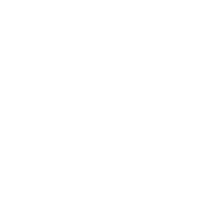 Illustration of the voting step in a GroupMap session
