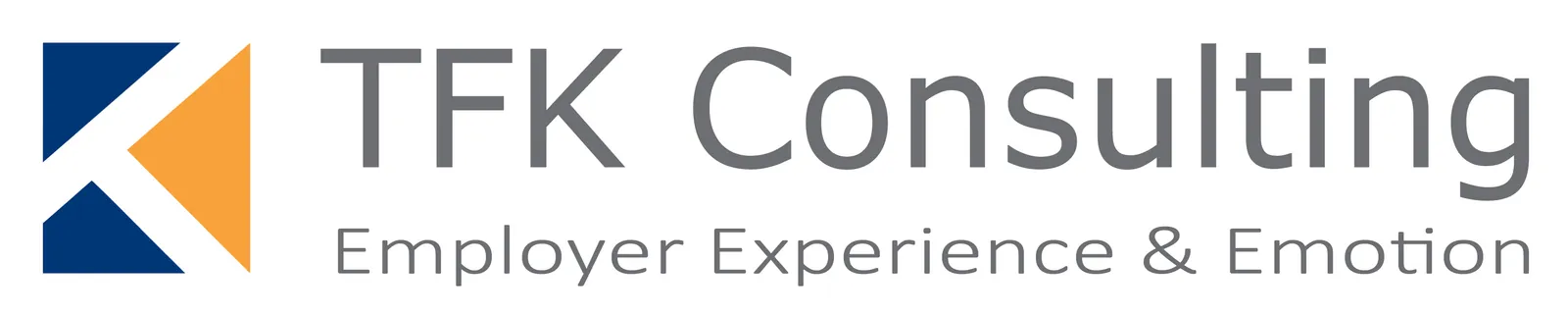 TFK-Consulting logo